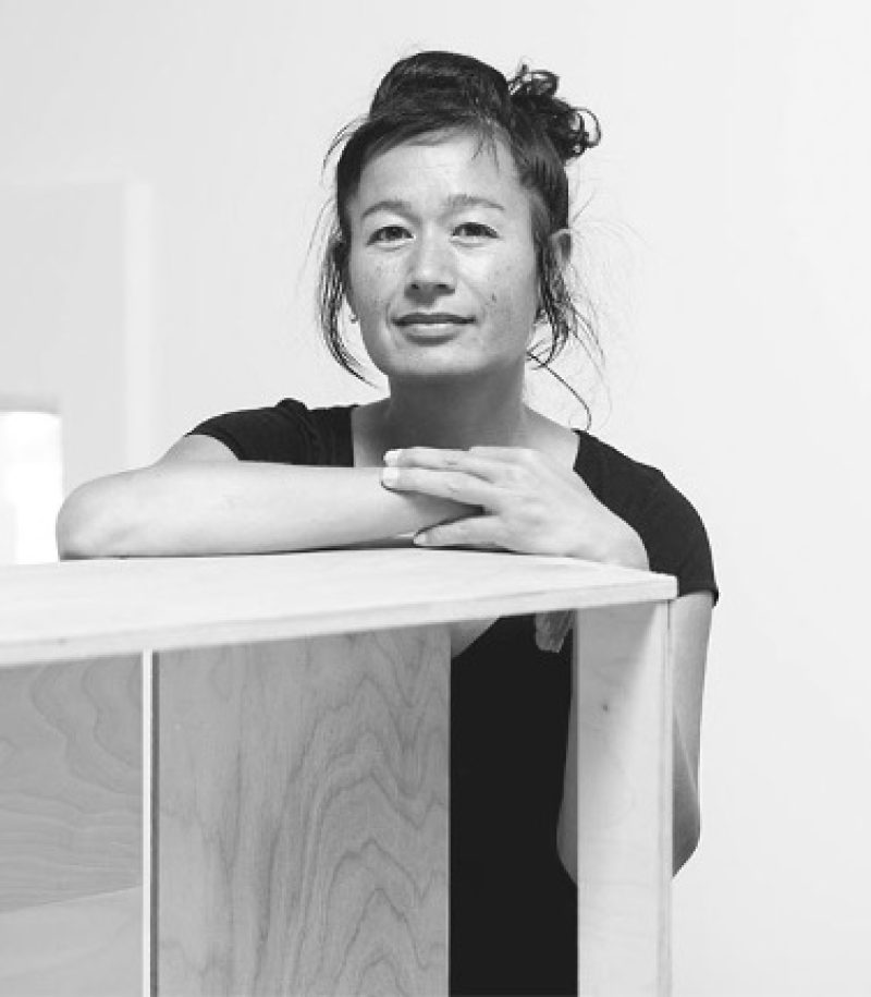 Hito Steyerl